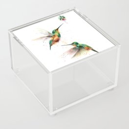 Two Hummingbirds Acrylic Box