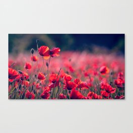 RED FLOWER SELECTIVE FOCUS PHOTOGRAPHY Canvas Print