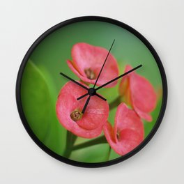 Maldives Flower 2 Wall Clock