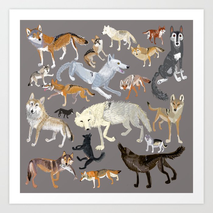 Wolves of the world 1 Art Print