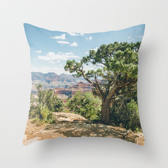 Grand Canyon National Park Throw Pillow