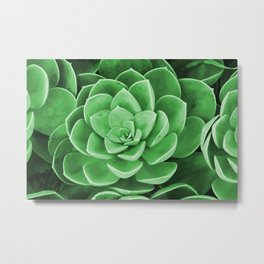 Succulent Blossom green color Metal Print | Graphic, Botanical, Illustration, Leaf, Pattern, Modern, Floral, Red, Blossom, Design 