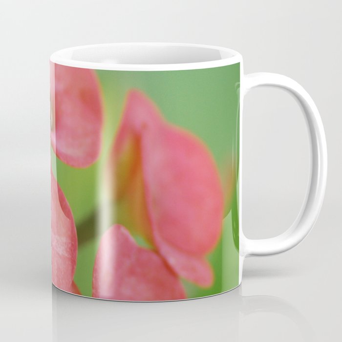 Maldives Flower 2 Coffee Mug