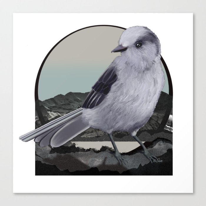 Alpine Gray Jay Bird Canvas Print