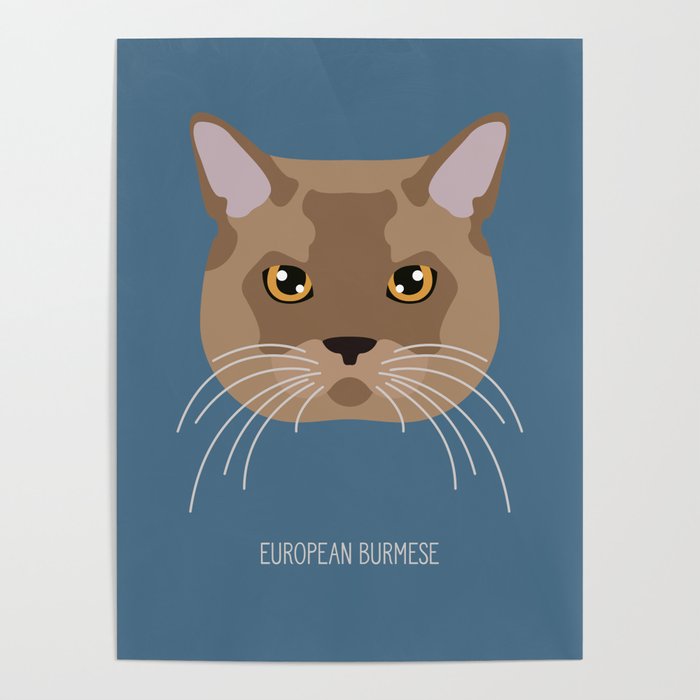 European Burmese Cat  Poster
