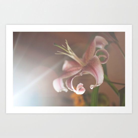 lilium Art Print