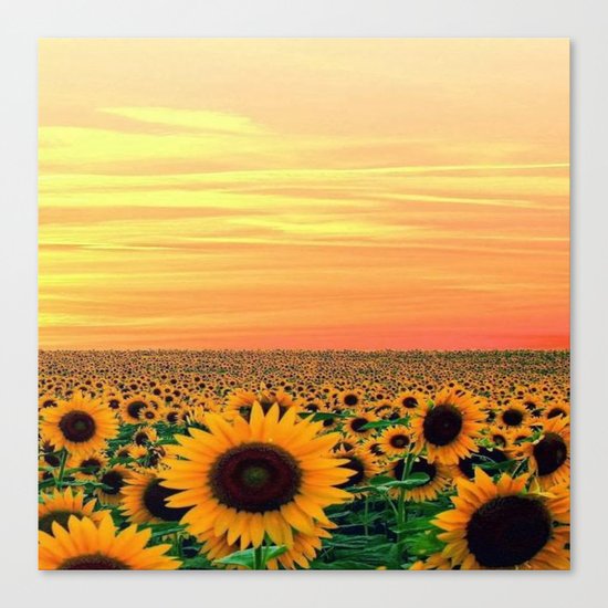 Sunflower Canvas Print