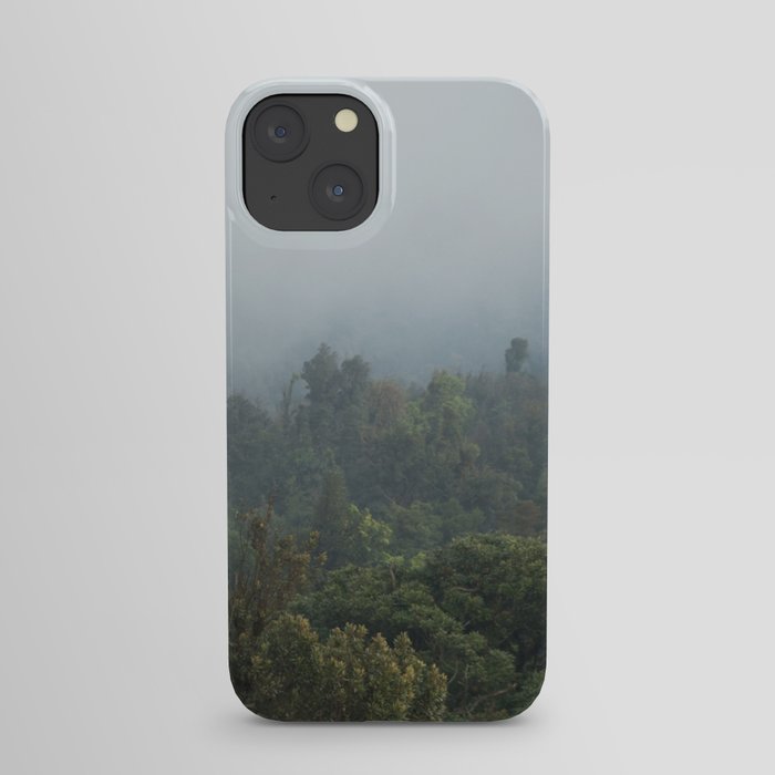 Guatemalan Forest iPhone Case