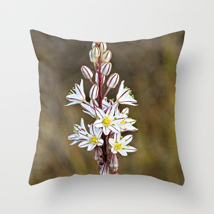 Asphodel Mediterranean Wild Lilies Flowers Throw Pillow