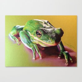 Frog Portrait Canvas Print