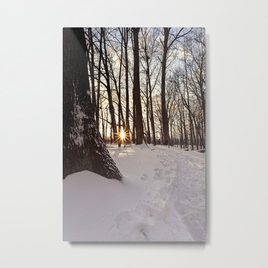 up the snowy path Metal Print