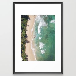 North Shore Palms Framed Art Print