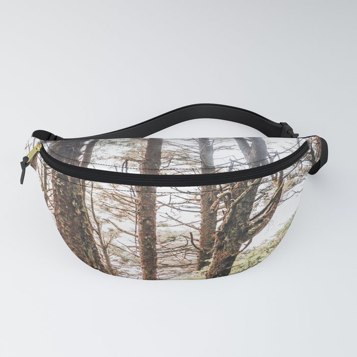 Forest and Fog | PNW | Travel Photography Fanny Pack