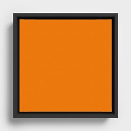 Pumpkin Cat Orange Framed Canvas