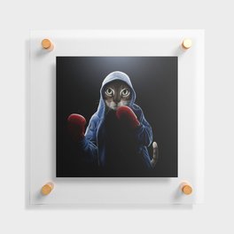 Boxing Cool Cat Floating Acrylic Print
