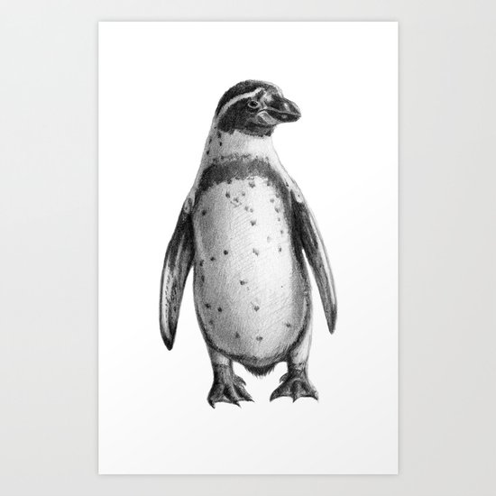 Peruvian Penguin sketch SK095 Art Print