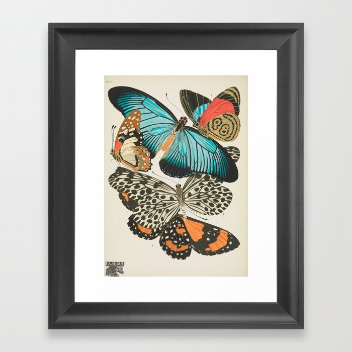 Butterfly Print by E.A. Seguy, 1925 #2 Framed Art Print