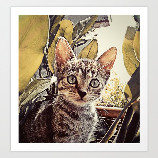 Mouser Art Print