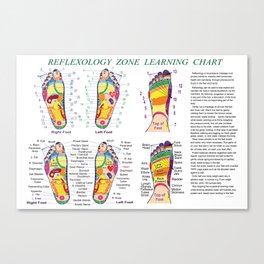 Foot Reflexology Zone Learning Chart Canvas Print
