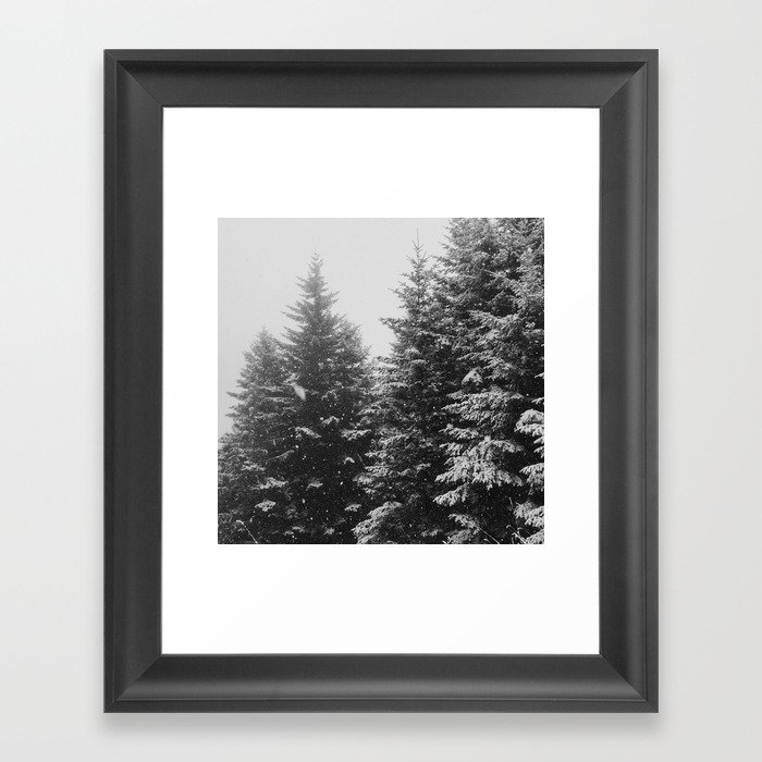 The Pine Tree Forest (Black and White) Framed Art Print
