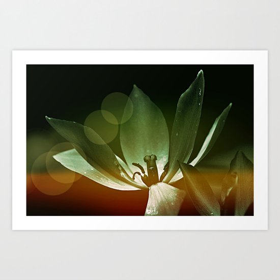 #80 Art Print