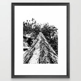 Squirrel View // Climbing Tall Tree Trunks // Winter Landscape Snowy Decor Photography Framed Art Print | Photo, Canada In The Of An, Winterscene Pictures, Photos Heavenly Q0, Wintertime Outdoors, Vail Vintage Picture, Snowshoeing Winter, Landscape Bedroom, Blizzard Tree Trees, Wood Bark Forest 