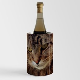 Maine Coon Cat Wine Chiller