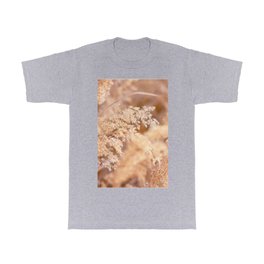 Watercolor Seed, Prairie Grasses 01, Boulder, Colorado, Fields of Gold T Shirt | Field, Mountain, Carlson, Painting, Digital, Gold, Colorado, Prairie, Meadow, Forb 
