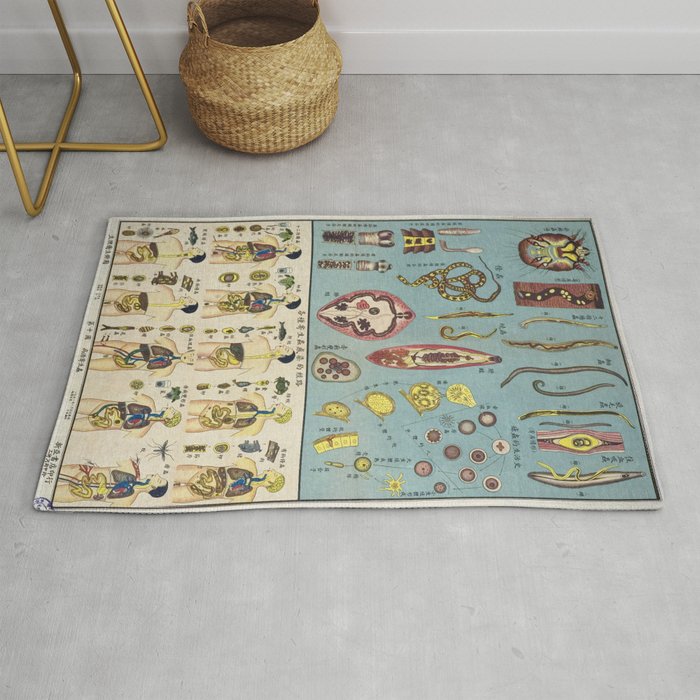 Chinese Parasite Chart Vintage Poster Anatomical  Rug
