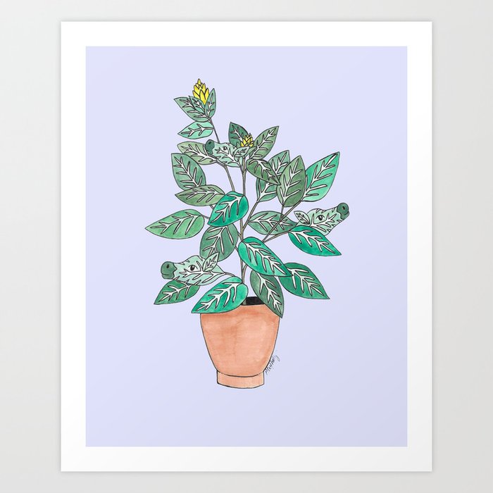 Zebra House Plant Art Print