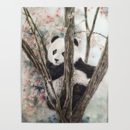 Panda bear on the flowering tree Poster
