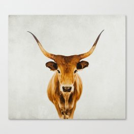 Wild Longhorn Cow Print - Tan Colored Cow - travel photography by Ingrid Beddoes Canvas Print