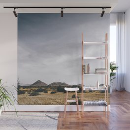 South Africa Photography - Beautiful Dry Field Under The Gray Sky Wall Mural