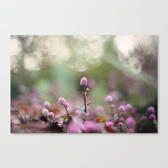 Stand Back Up Canvas Print