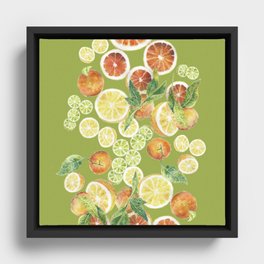 Oranges_green Framed Canvas