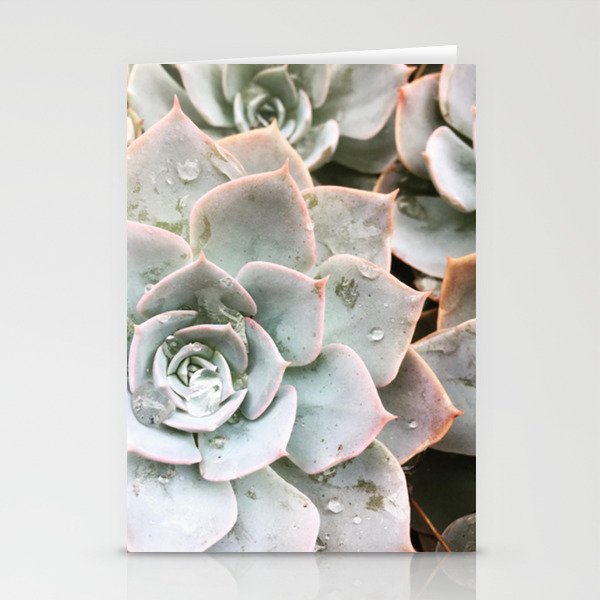 so succulent Stationery Cards