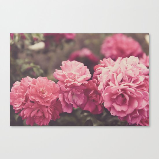 Vintage Florals Canvas Print