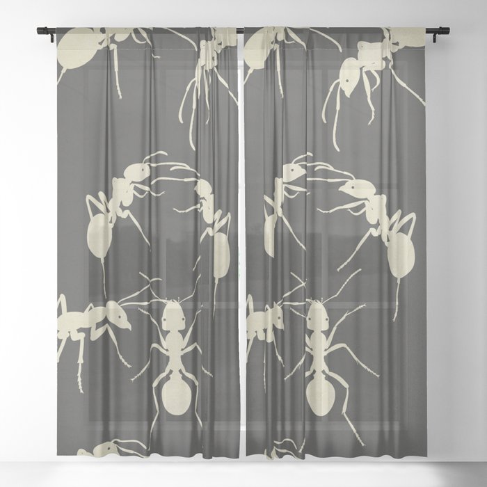 Sheer Curtain