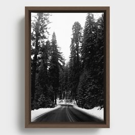 Sequoia Snow Framed Canvas