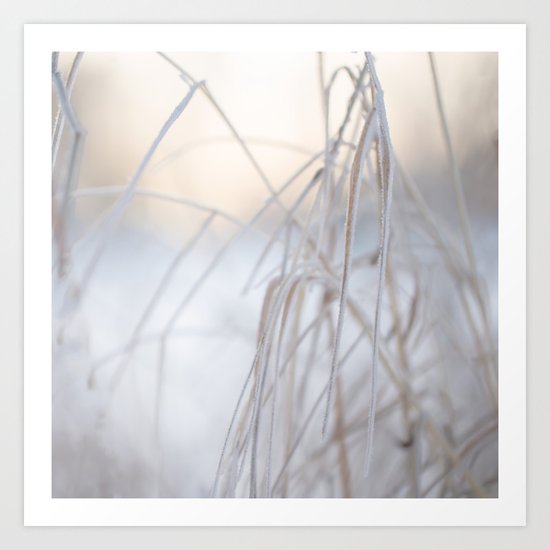 Beautiful Winter Morning Art Print