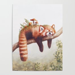 Sleepy Red Panda Poster