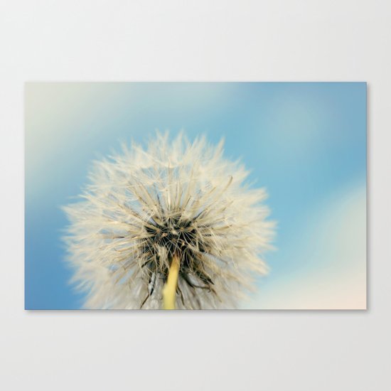 A Better Way to Fly Canvas Print