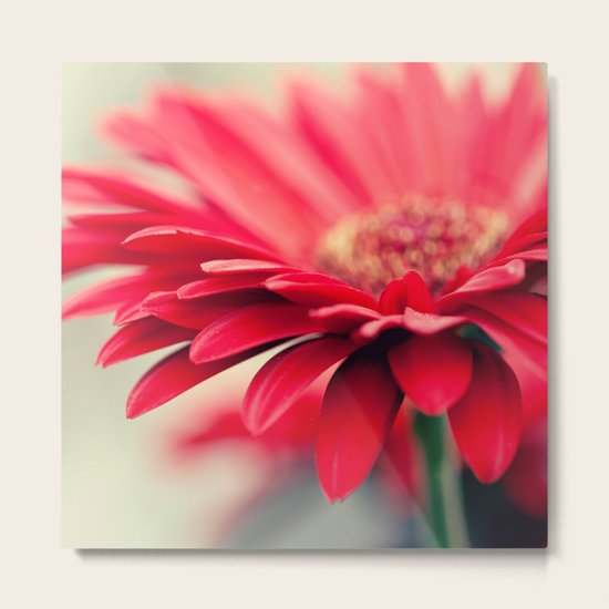 Lovely Metal Print
