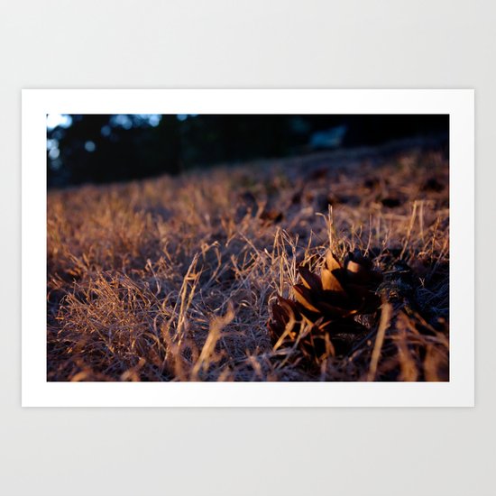 Fall Cones Art Print