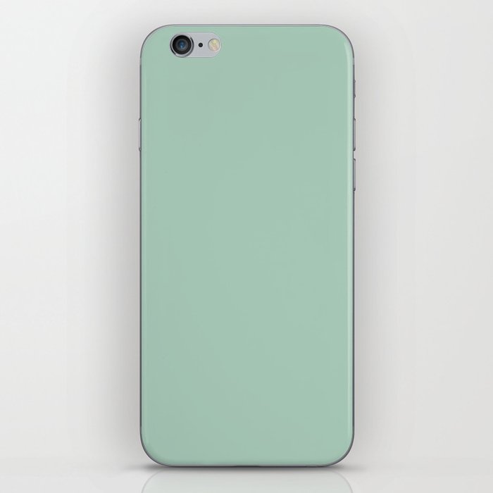 Light Aqua Green Gray Solid Color Pantone Birds Egg Green 13-5911 TCX Shades of Blue-green Hues iPhone Skin