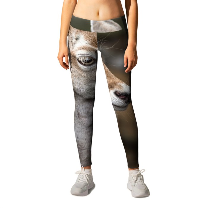 Deer leggings discount