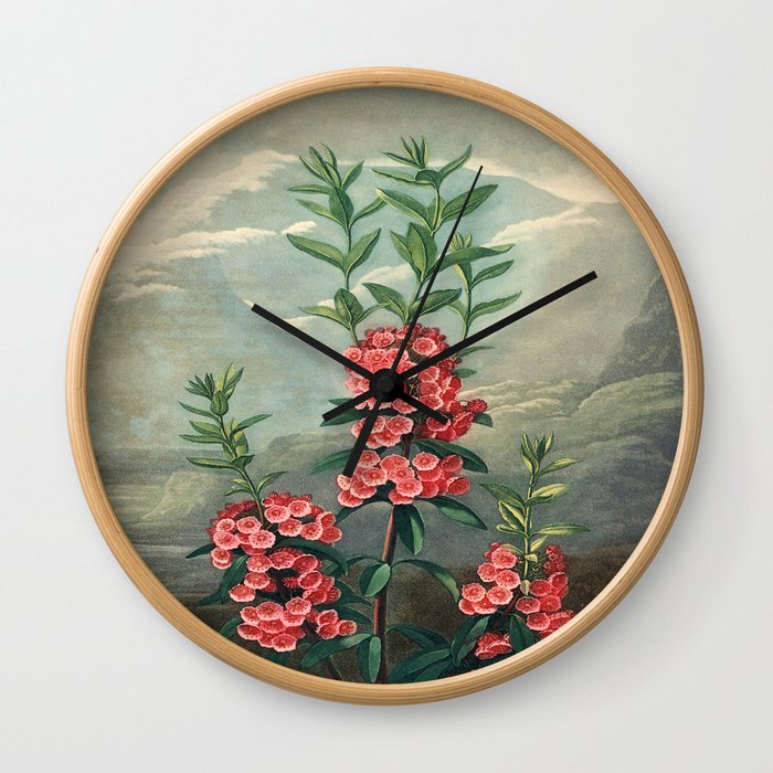 Pink Floral The Narrow-leaved Kalmia : Temple of Flora Wall Clock