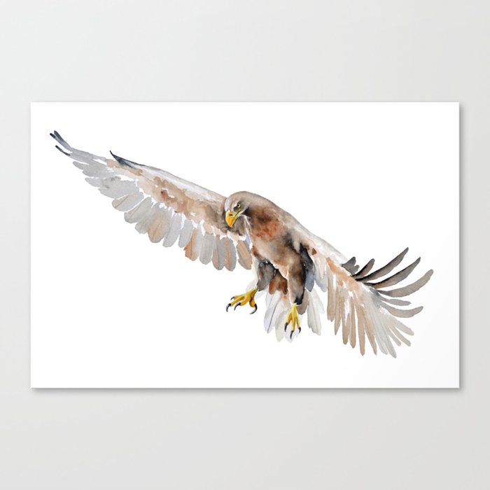 White-tailed Eagle watercolor art Canvas Print