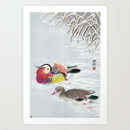 Koson Ohara - Mandarin Ducks in Snow - Japanese Vintage Ukiyo-e Woodblock Print Art Print