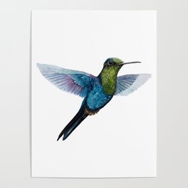 Flying jewels I Poster